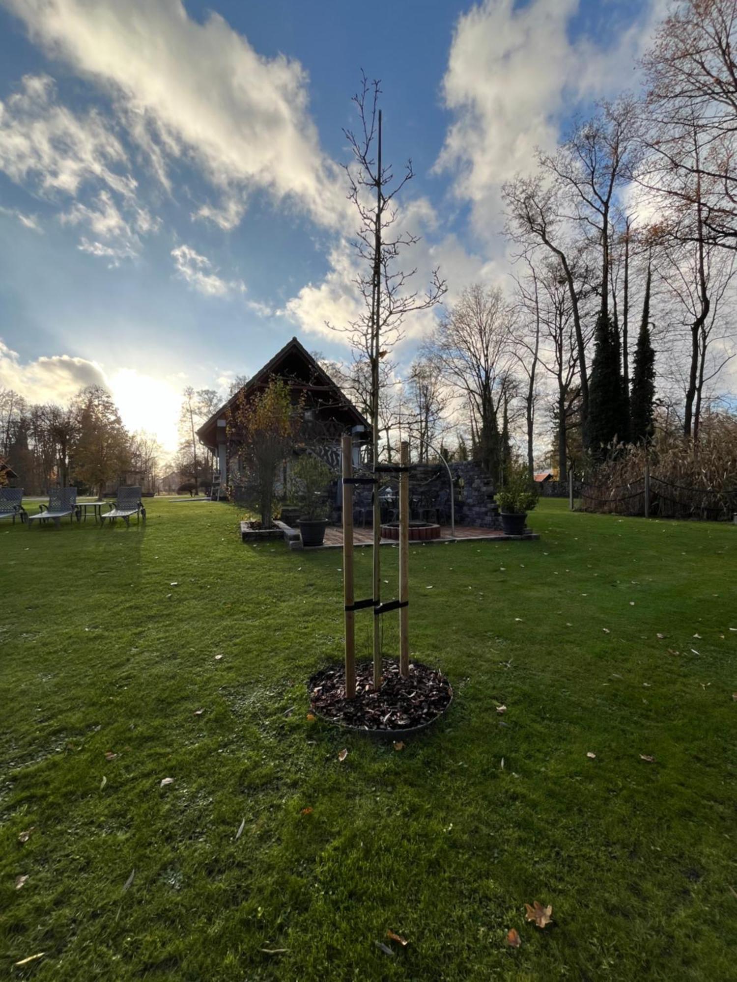 Ferienwohnungen Ast Burg  Buitenkant foto